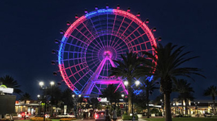 13+ Best Vacation Rental Management Companies in Orlando, Florida